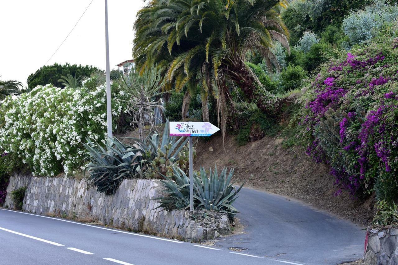 Vila Agriturismo Un Mare Di Fiori Ventimiglia Exteriér fotografie